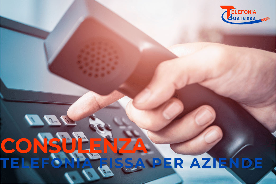 CONSULENZA-TELEFONIA-FISSA-E-VOIP-PER-AZIENDE